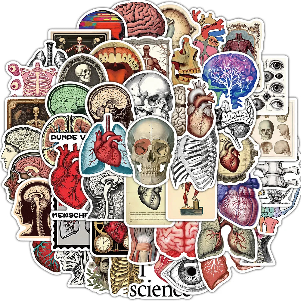 A collection of 50 retro scientific anatomy stickers featuring various human organs, bones, and skulls.