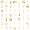 A collection of golden botanical line art illustrations on a transparent background.