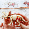 A hand holds a detailed dinosaur fossil model, featuring white and reddish-brown coloration, against a background of an educa