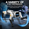 Interactive Robot Dog with Voice Commands and Dance Moves