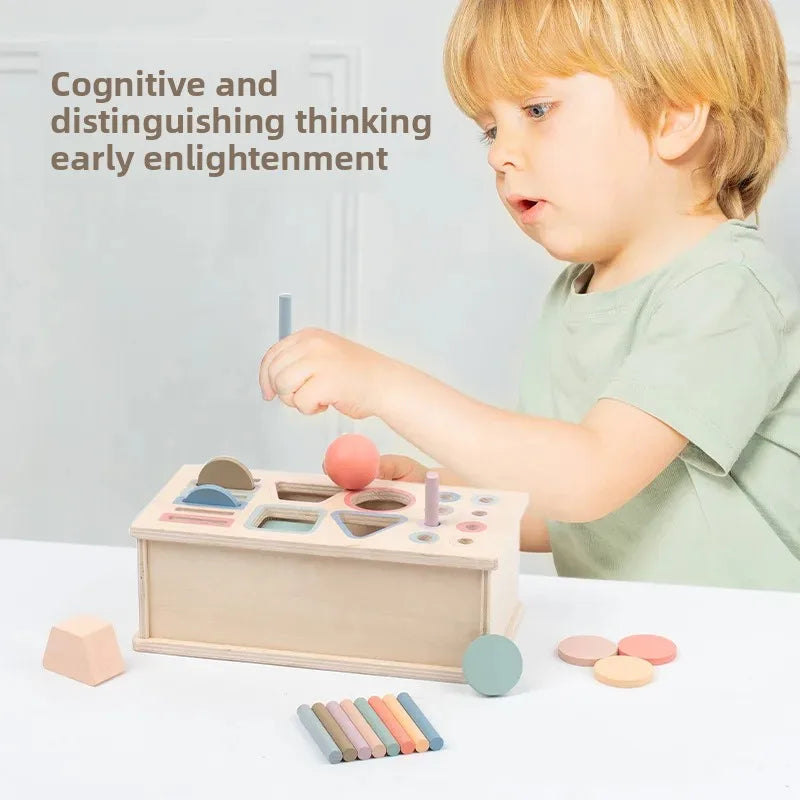 Wooden Color Shape Sorter with Drawer Box – Montessori Learning Toy