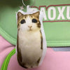 A white and brown cat plush keychain with large eyes is attached to a silver keyring.