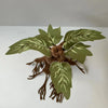 A plush toy resembling a mandrake plant with large green leaves and brown roots.