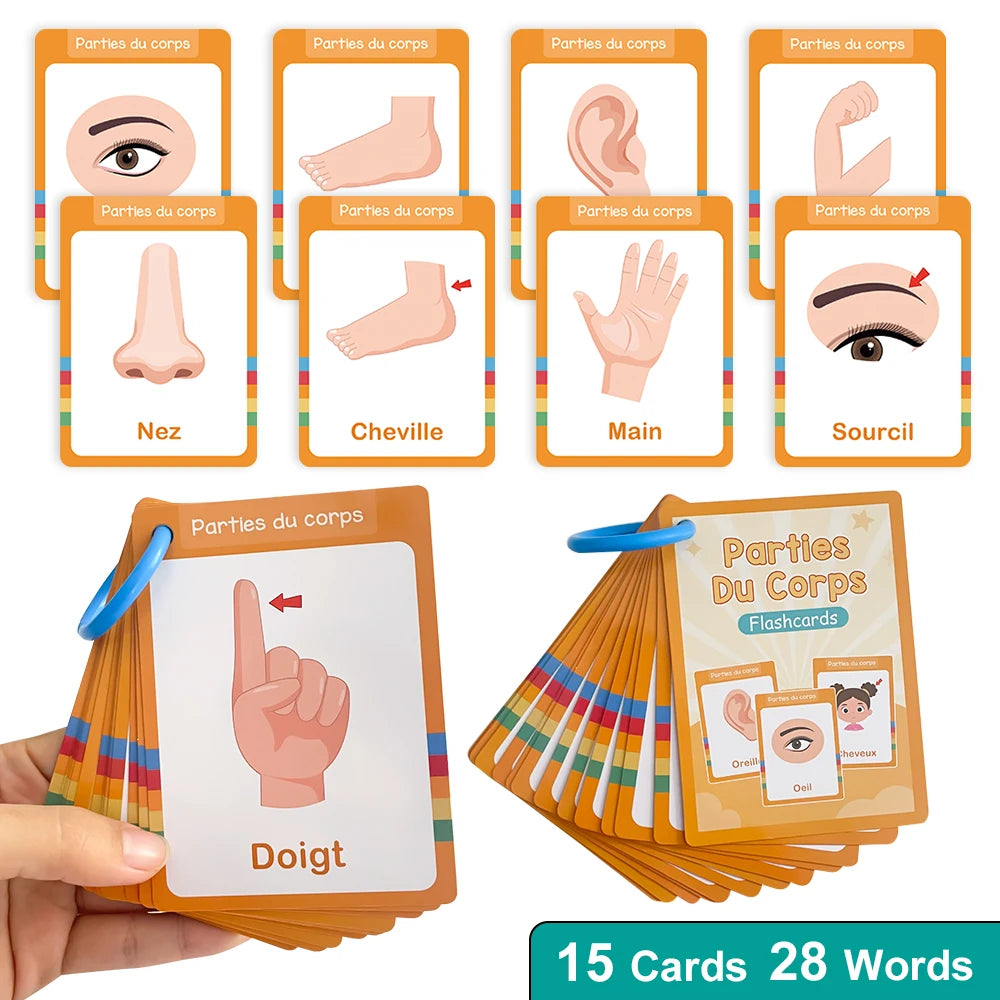 A set of 15 French-English vocabulary flashcards showing body parts like eye nose hand ear and foot