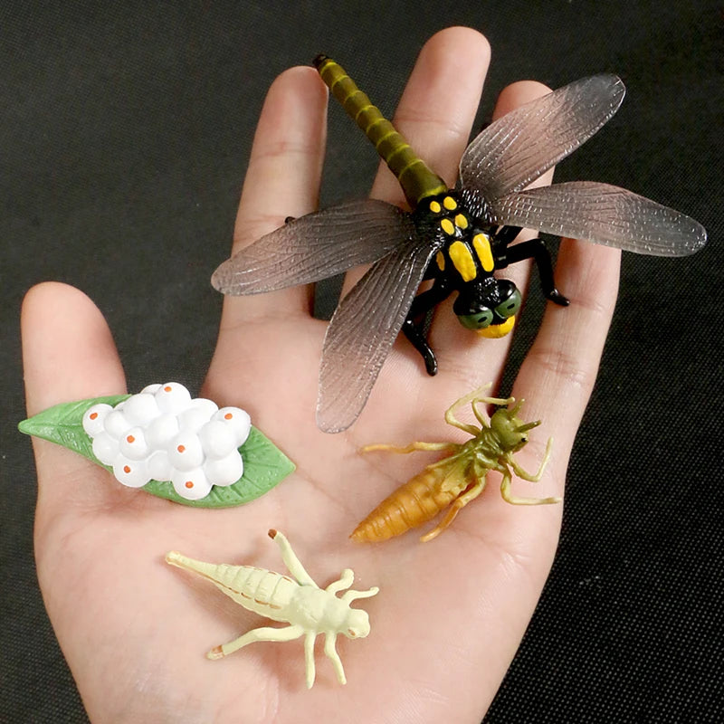 A hand holds a set of insects and a flower, including a dragonfly, a wasp, and a caterpillar, for learning.