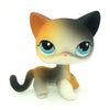 A small, stylized cat figure with orange and gray fur standing upright.