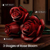 Gothic Rose Bouquet Building Kit — Dark Floral Home Decor for Adults