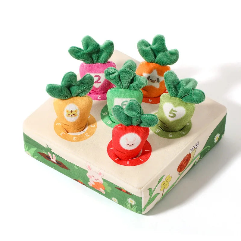 A box of soft pulling carrot sensory toys featuring five colorful carrots with green tops for babies.