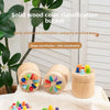 Wooden Montessori Color Sorting Toy for Toddlers