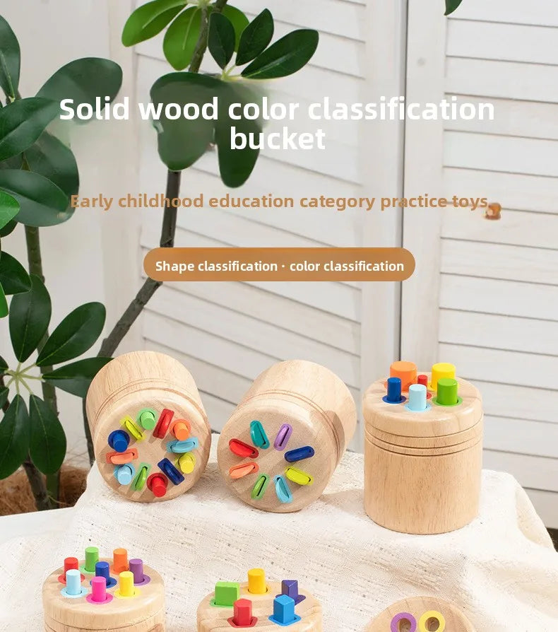 Wooden Montessori Color Sorting Toy for Toddlers