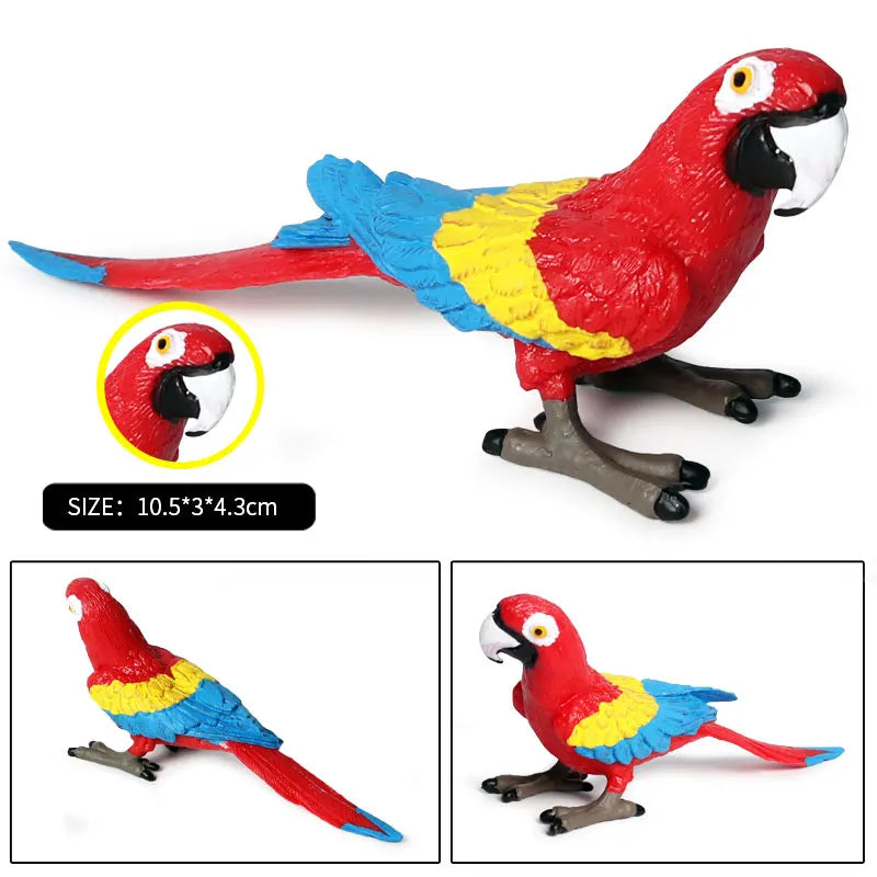 Realistic Bird Figurine Set – Educational PVC Models for Kids and Collectors