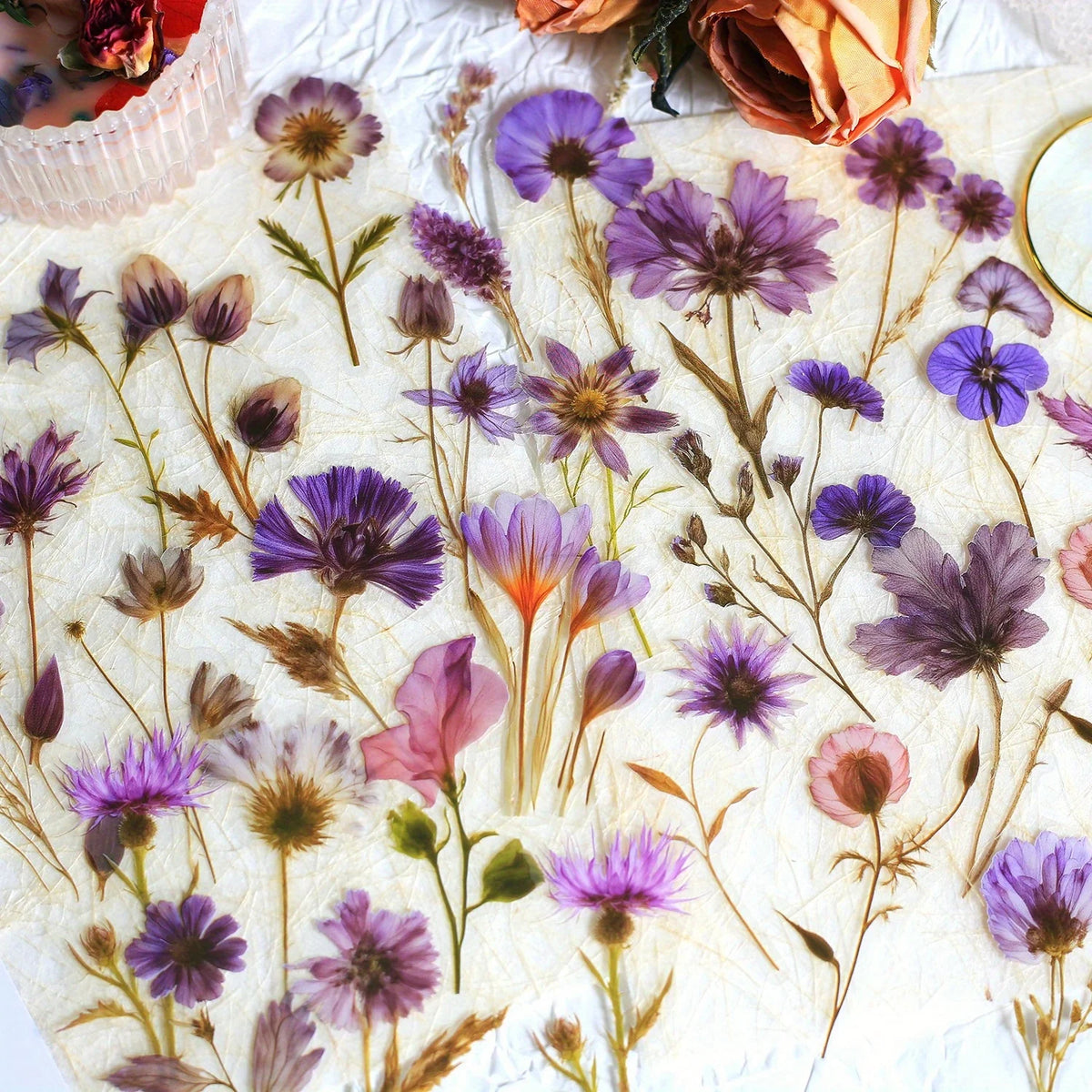 A collection of 50 transparent floral stickers featuring various purple and pink flowers on a white background.