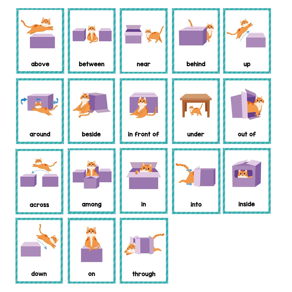 Montessori English Word Learning Cards for Kids