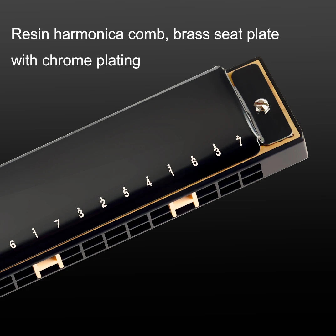 24-Hole Tremolo Harmonica in C with Carrying Case