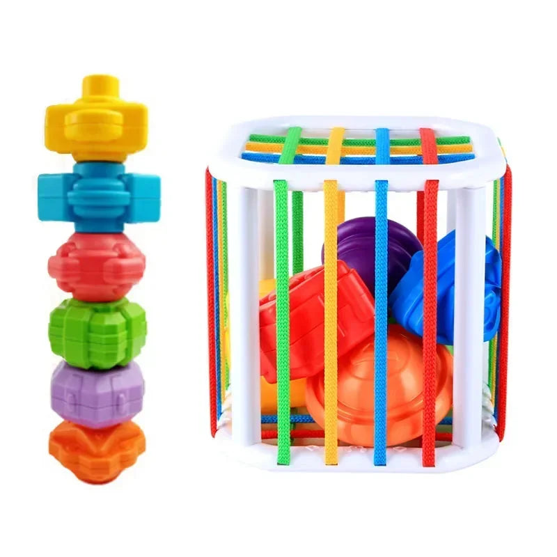 A colorful sensory sorting blocks set with various colored rings and plastic balls for babies and toddlers.