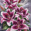 Vibrant purple and pink lily flowers with dewdrops on lush green leaves.