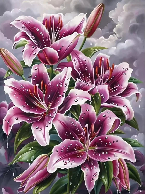Vibrant purple and pink lily flowers with dewdrops on lush green leaves.