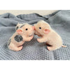 Two small, realistic soft silicone piglet mini dolls are positioned facing each other on a gray knitted fabric.