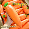 A hand holds an orange carrot squishy toy surrounded by other carrots in a box.