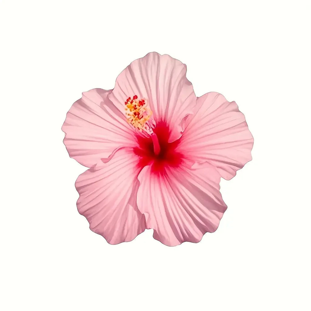 Hibiscus Flower Silicone Mold Set for Cake, Chocolate, Candle & Resin Crafting