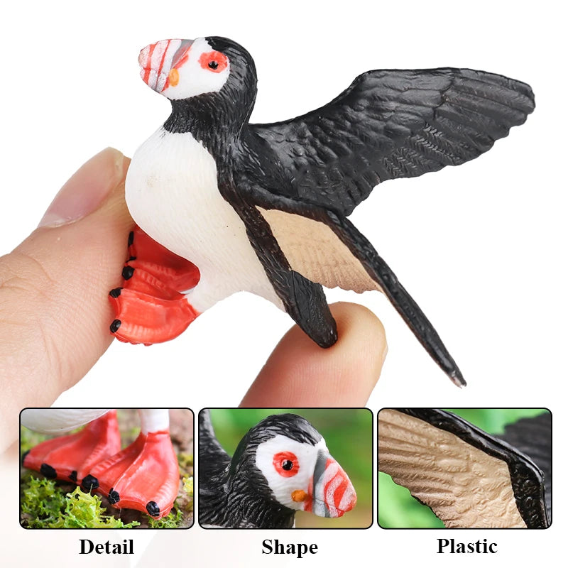 Realistic Bird Figurine Set – Educational PVC Models for Kids and Collectors