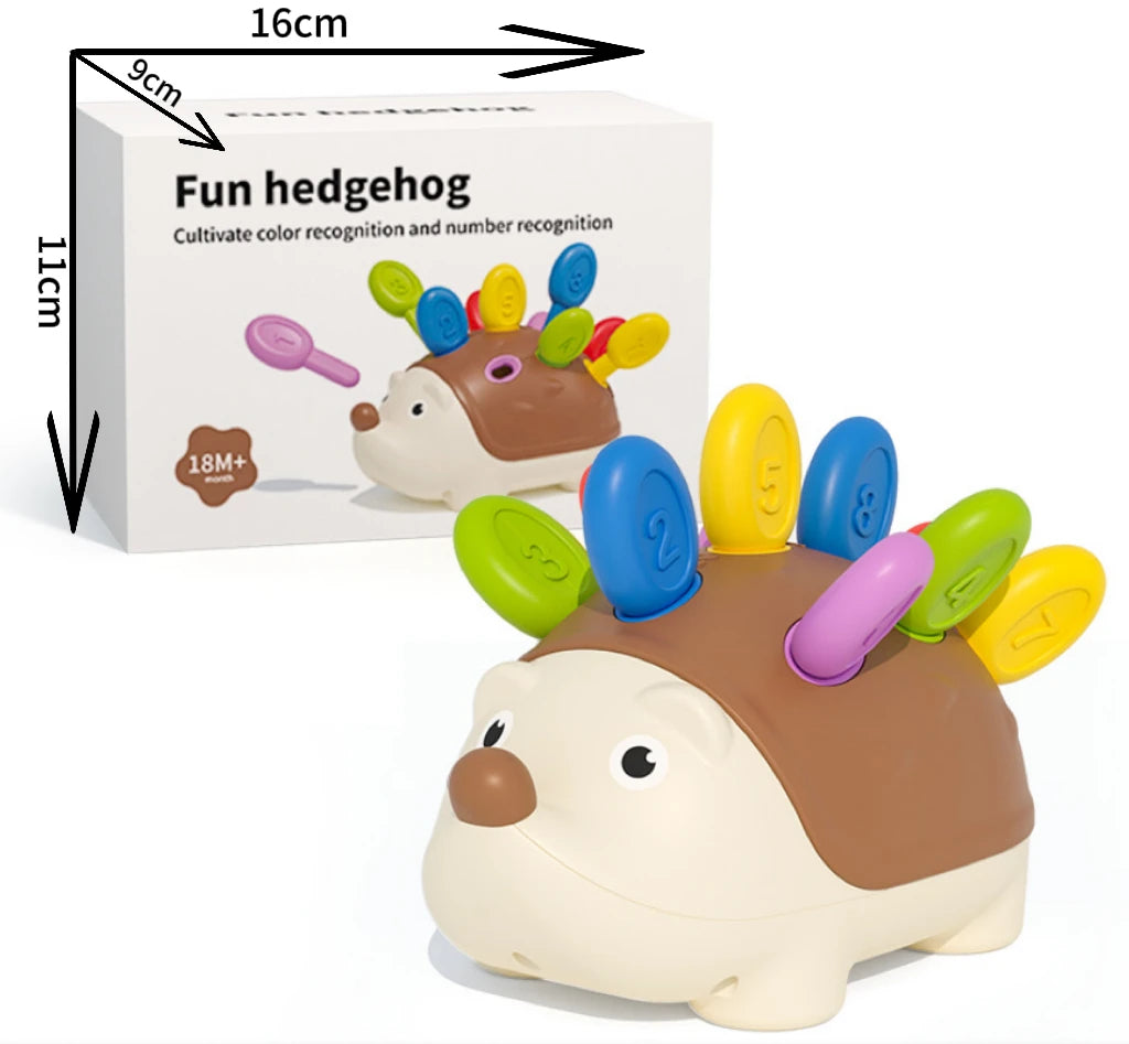 Montessori Hedgehog Toy for Fine Motor Skills and Sensory Learning