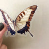 A hand holds an elegant waterproof butterfly sticker featuring brown and white wing patterns.