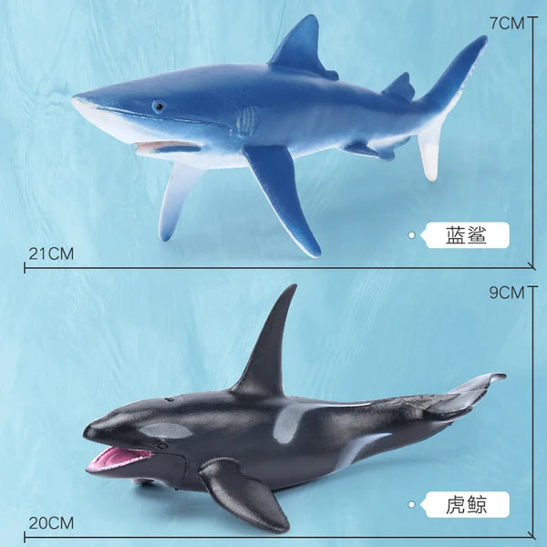 A set of two realistic ocean animal figurines, a blue shark and a black dolphin, shown with their dimensions.