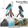 Realistic Bird Figurine Set – Educational PVC Models for Kids and Collectors