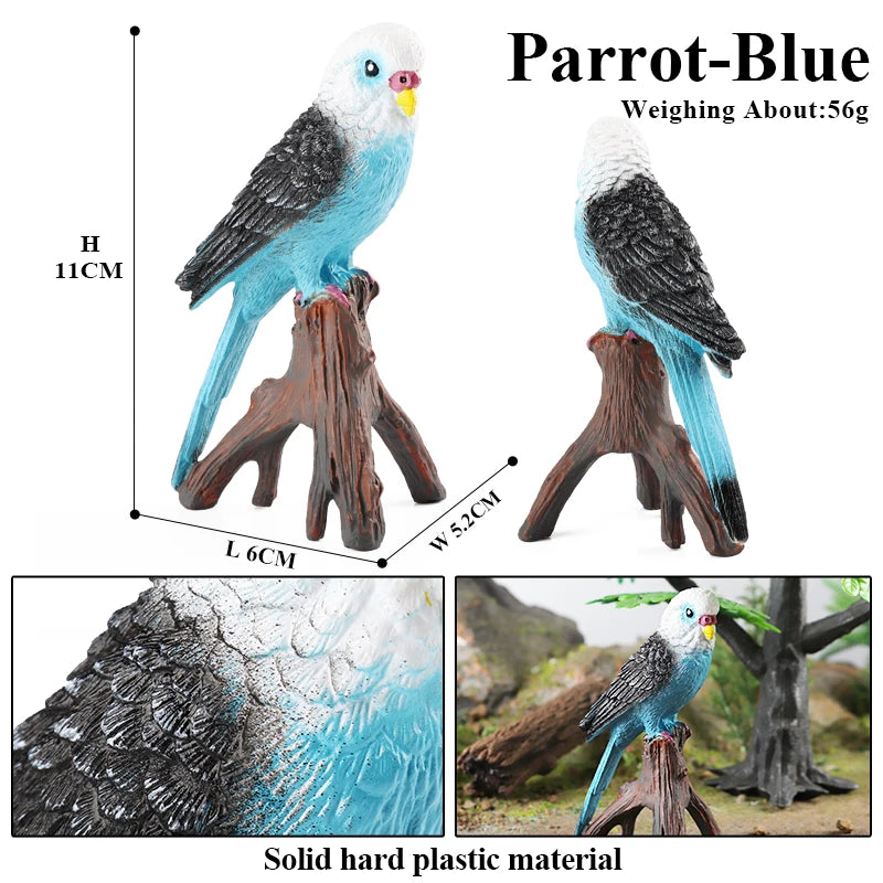 Realistic Bird Figurine Set – Educational PVC Models for Kids and Collectors
