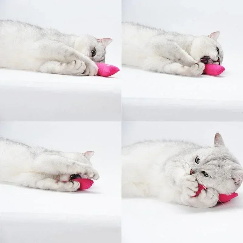 A gray and white kitten is interacting with a pink catnip plush toy.
