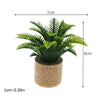 A miniature green plant with feathery leaves growing in a cylindrical natural fiber pot.