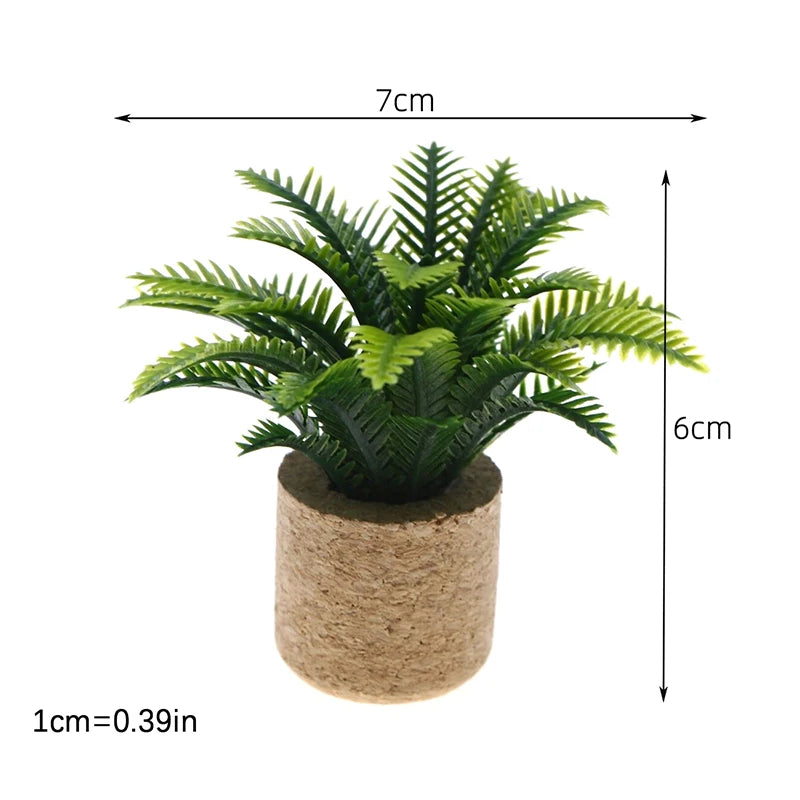 A miniature green plant with feathery leaves growing in a cylindrical natural fiber pot.