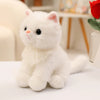 A fluffy white kitten plush toy sitting on a white surface.