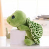 A soft green turtle plush toy sitting on a white block.