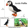 Realistic Bird Figurine Set – Educational PVC Models for Kids and Collectors