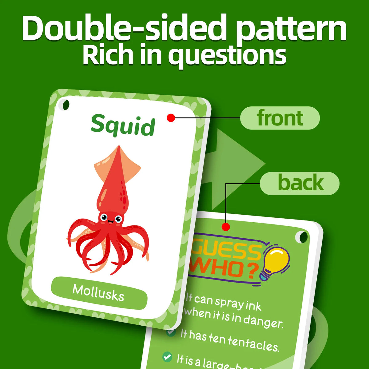 Animal Cognition Flash Cards for Early Learning