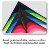 A large delta kite with a 5m tail is shown in various bright colors, including green, blue, yellow, and red.