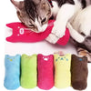 A collection of colorful, soft catnip plush toys for kittens, including blue, green, pink, yellow, and brown.