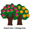 Felt Fruit Tree Puzzle – Color & Number Learning Toy for Kids
