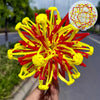 A bright yellow and red expandable magic ball toy with a detailed diagram of its structure is held in a hand.