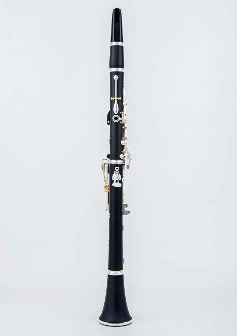 Professional Bb Clarinet with Case