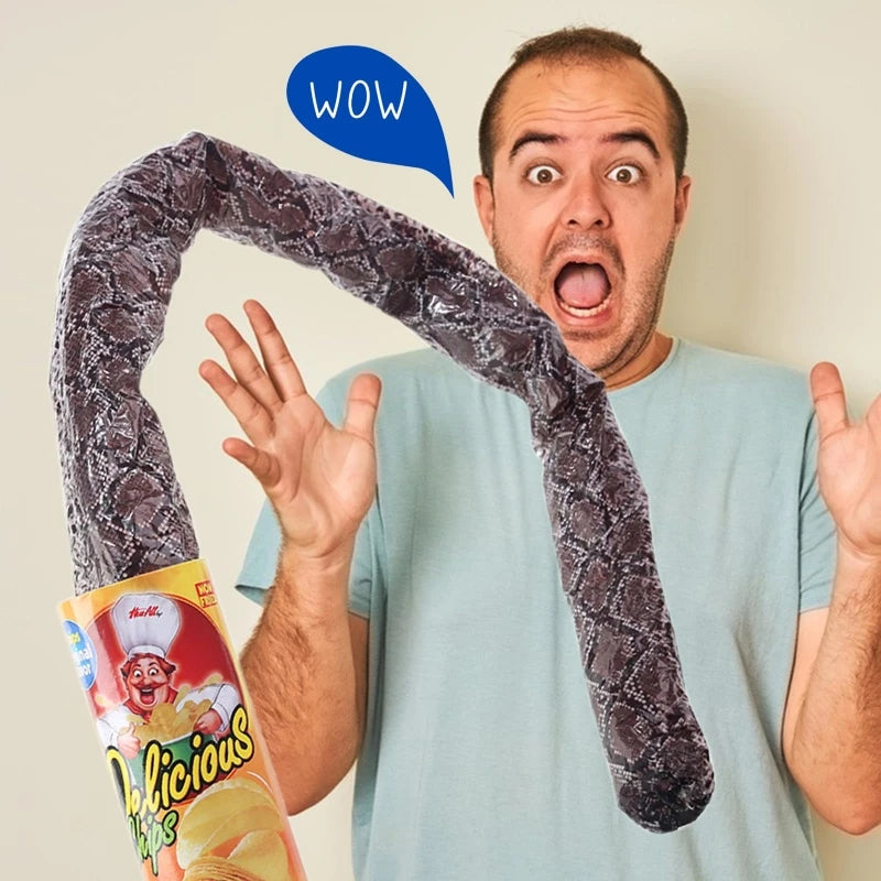 Surprise Prank Snake in a Potato Chip Can