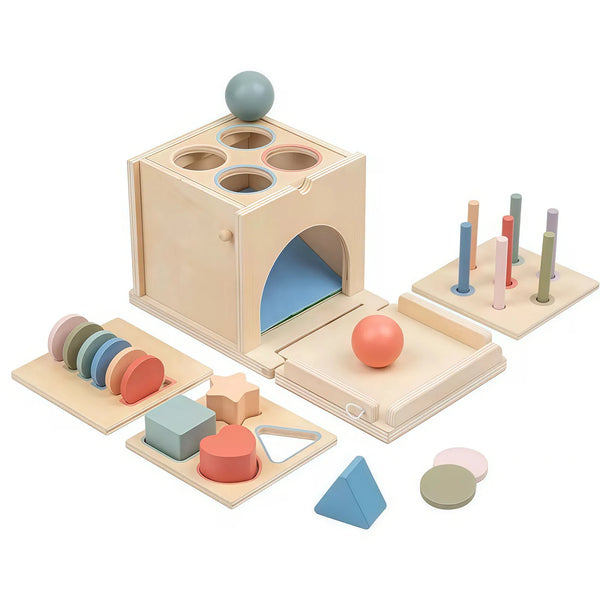 A wooden Montessori color sorting and shape sorter set featuring various colored spheres, discs, and geometric shapes.
