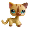 A charming bobble head pet figurine of an orange tabby cat with large blue eyes.