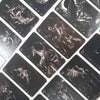 Goetia Tarot Deck – Dark Occult Card Set for Divination and Games