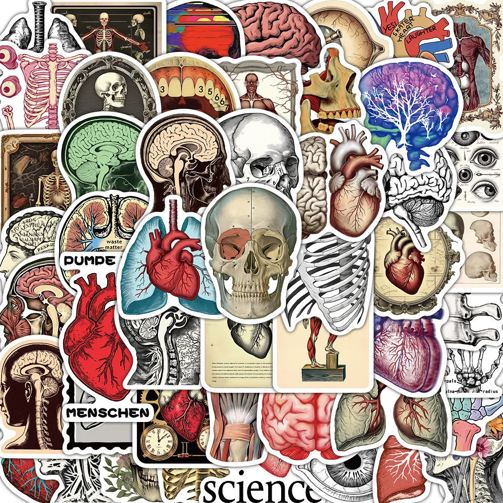 A collection of 50 retro scientific anatomy stickers featuring various human organs, bones, and brain structures.