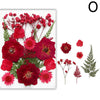 A collection of dried red and pink flowers including roses and greenery for crafting.