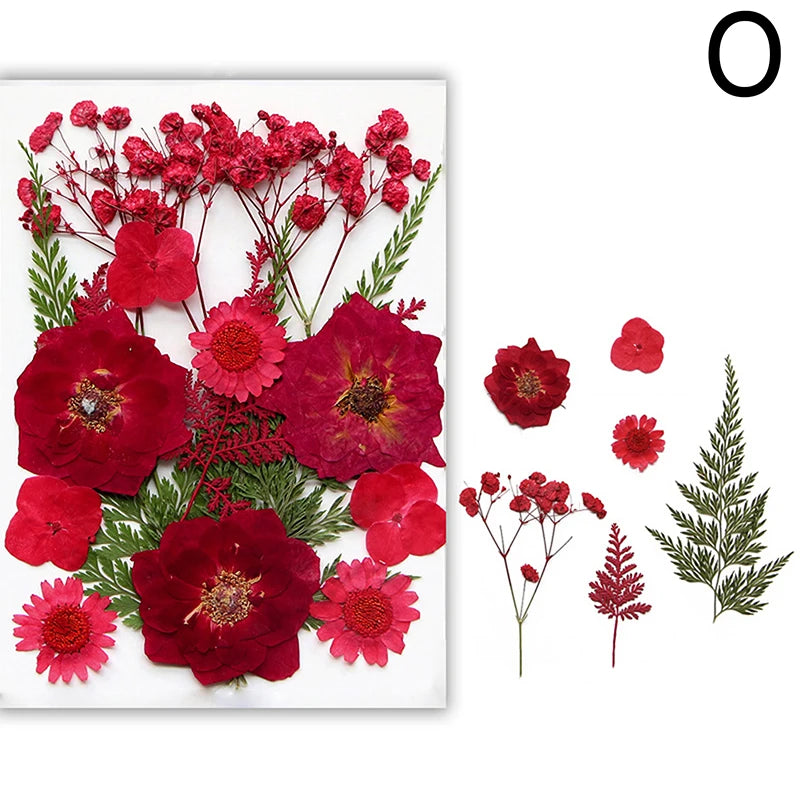 A collection of dried red and pink flowers including roses and greenery for crafting.