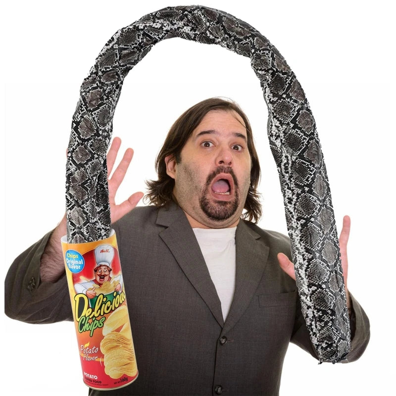 Surprise Prank Snake in a Potato Chip Can